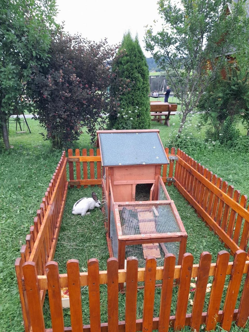 Pokoje Goscinne Budzowie Czarna Góra Exterior foto