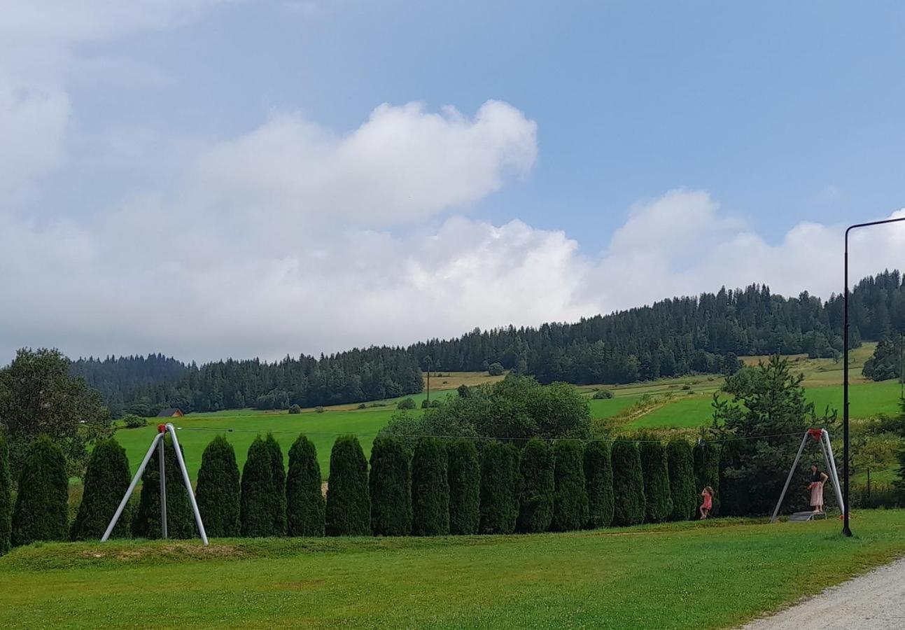 Pokoje Goscinne Budzowie Czarna Góra Exterior foto