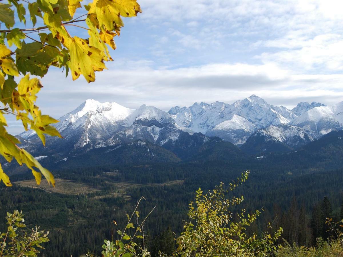 Pokoje Goscinne Budzowie Czarna Góra Exterior foto